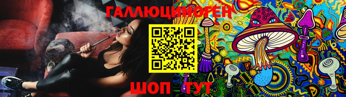Галлюциногенные грибы Psilocybine cubensis Аша